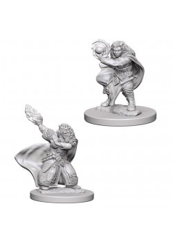 D&D Nolzur's Marvelous Unpainted Miniatures: Dwarf Female Wizard